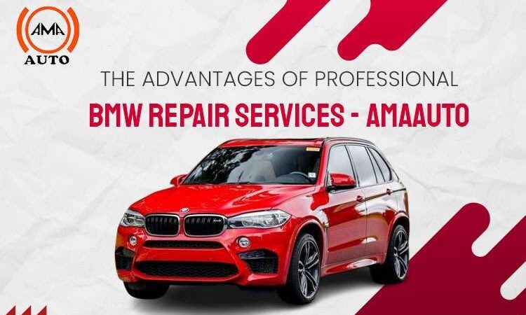 Professional BMW Repair Services